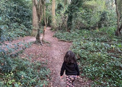 A picture of Wivenhoe Woods